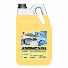 Detergent degresant alcalin SGRASSATORE LIMONE, Art. 2F41