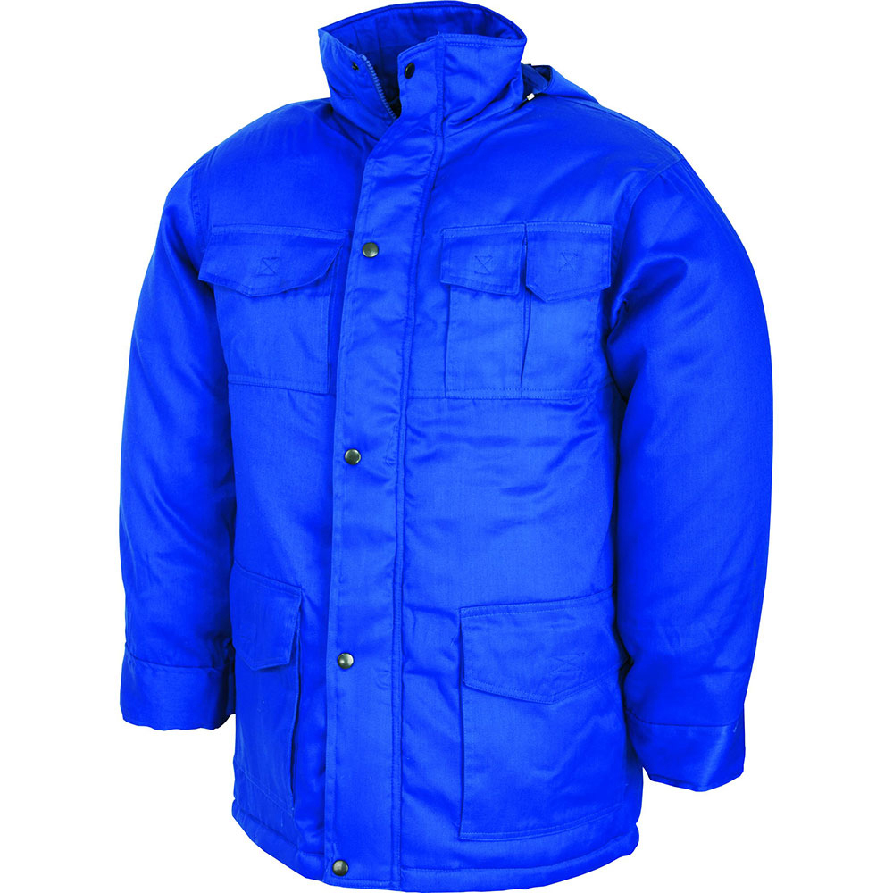 scurta-protectie-riscuri-minime-iarna-kiev-renania