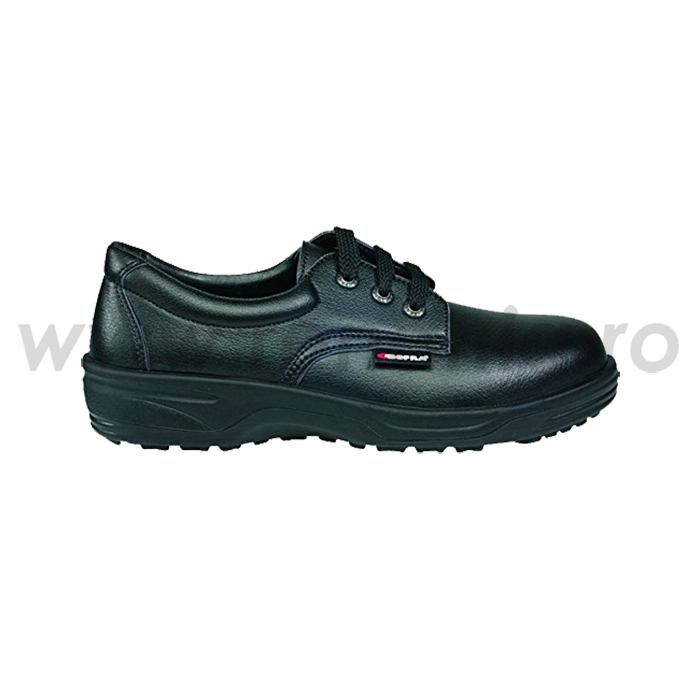 34442-008-pantof-pharm-s2-src