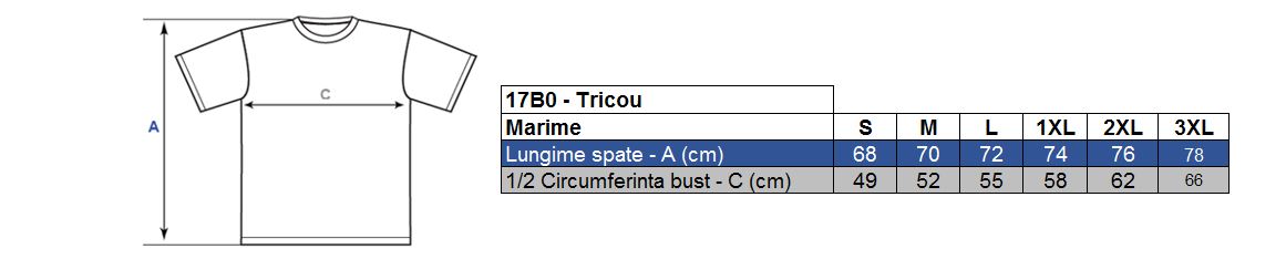 Vezi corespondenţă mărimi