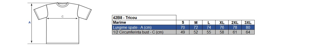 Vezi corespondenţă mărimi